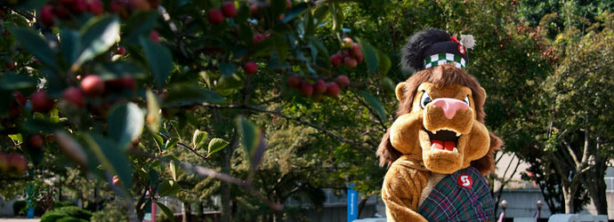 Sinclair College Tartan Mascot
